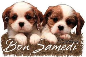 Gif animé Bon samedi chiens